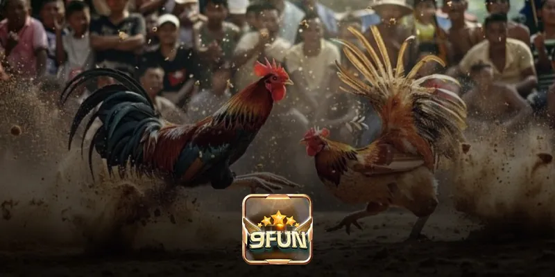 Những ưu điểm nổi bật của đá gà trực tuyến tại 9Fun